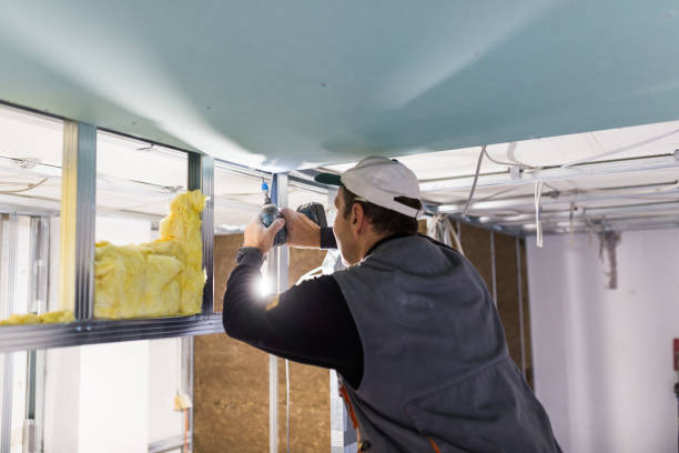 Best Residential Insulation in Portland, MI