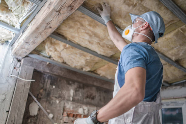 Best Commercial Insulation in Portland, MI