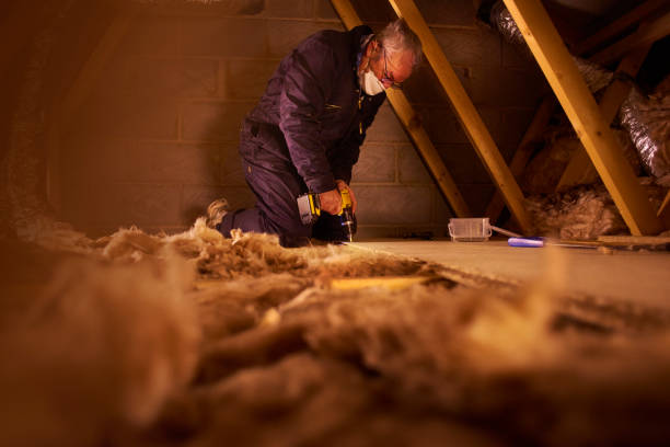 Best Specialized Insulation Services in Portland, MI